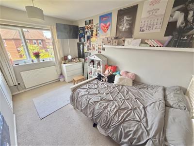 Picture 11